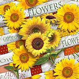 Servietten, 3-lagig 1/4-Falz 33 cm x 33 cm Sunflower Field, Papstar (86824), 200 Stück